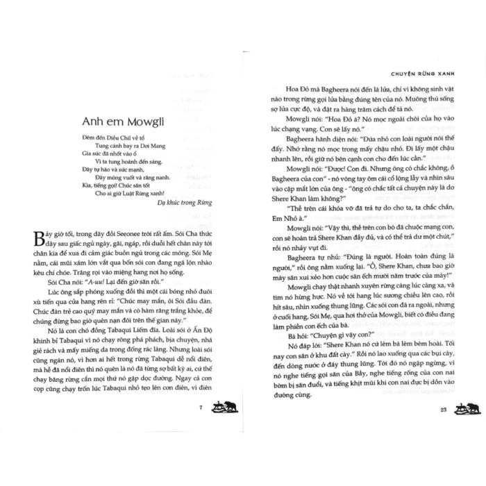 Chuyện rừng xanh - Ảnh 2